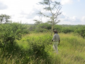 Our guide Siphoe (and his excellent hat) looking for cheetah